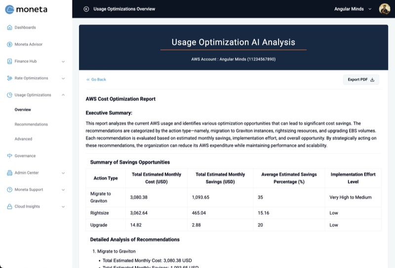 AI Usage Optimization
